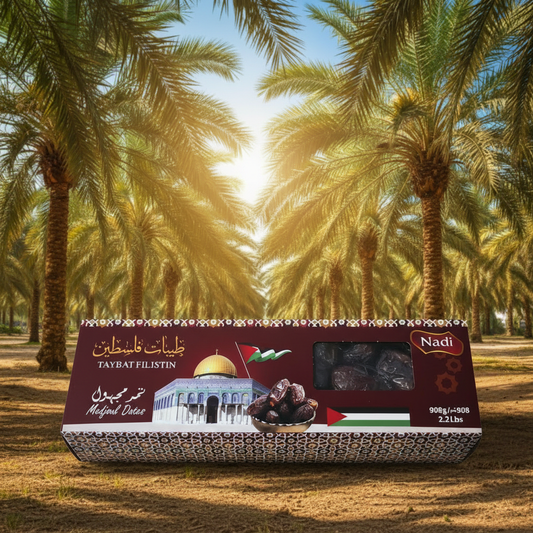 Medjoul Datteln aus Palästina delight SJJL